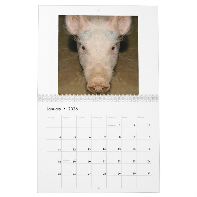 Promo do calendário (Jan 2026)