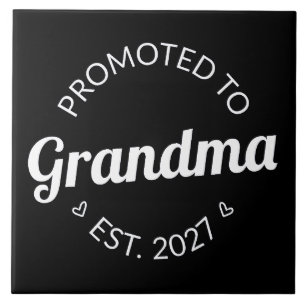 Promovida a Vovó Est 2027 Nova Nana Eu