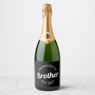 Promovido a Irmão Est 2027 Big Brother Eu