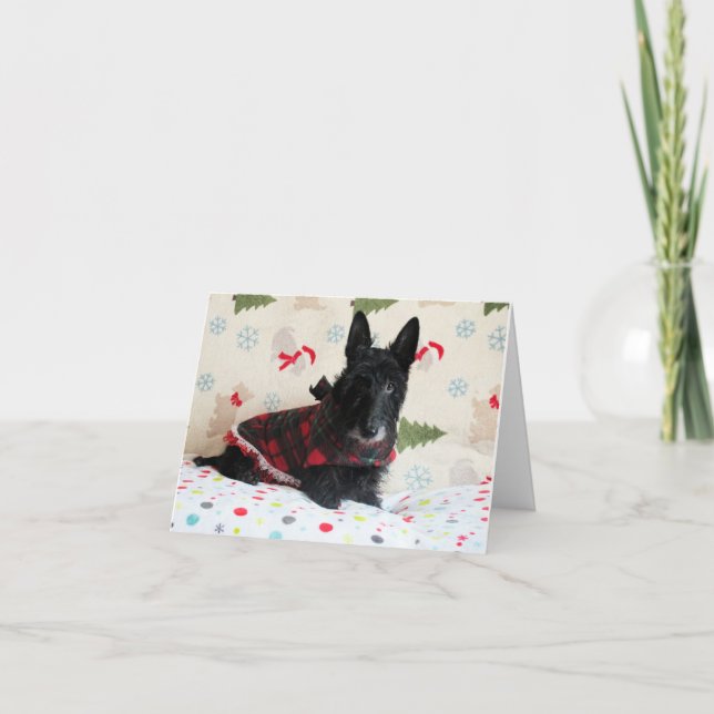 Pronto para Cartão de Natal (com texto) (Frente)