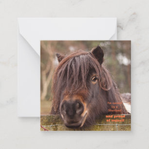 Propriedade de um cartão de nota Shetland