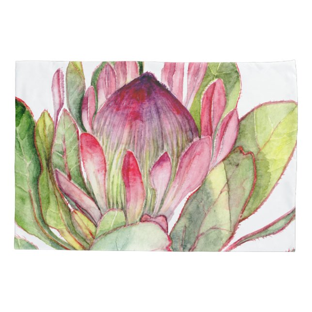 Protea Flor (Verso)