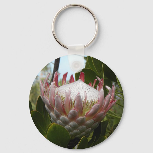 Protea Flower Hawaii Chaveiro (Frente)