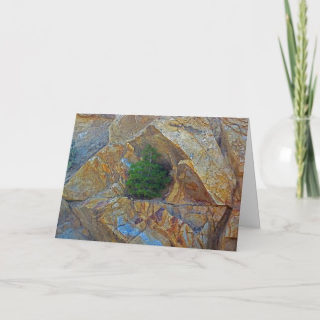 Proteção do Cartão de Saudação da Estação de Tempe (Frente)