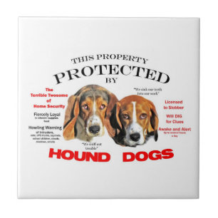 Protegido por Cães Engraçados
