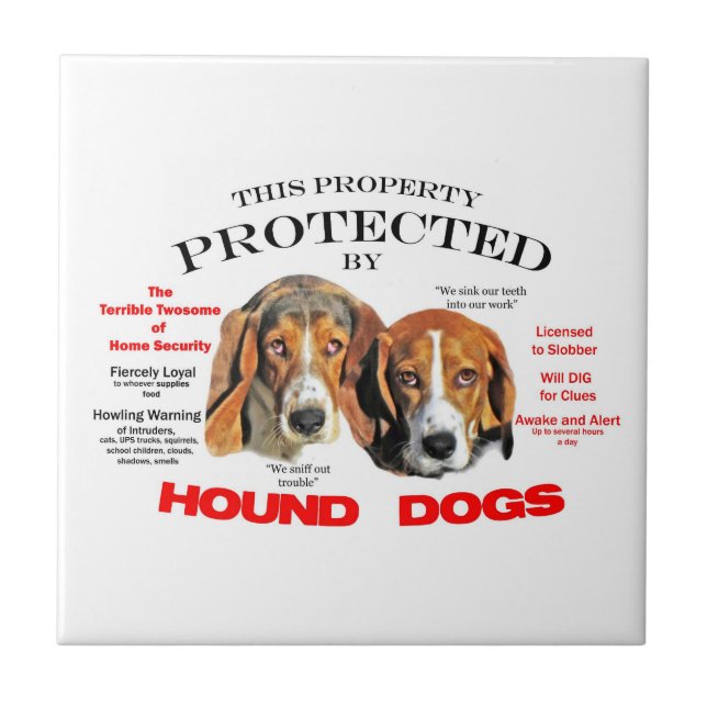 Protegido por Cães Engraçados (Frente)