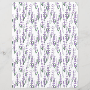 Provedação de campo de lavanda flor roxa