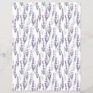 Provedação de campo de lavanda flor roxa