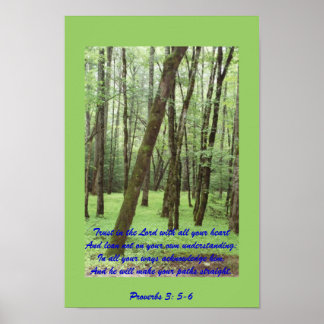 Provérbios 3: 5-6 poster com lindas árvores verdes