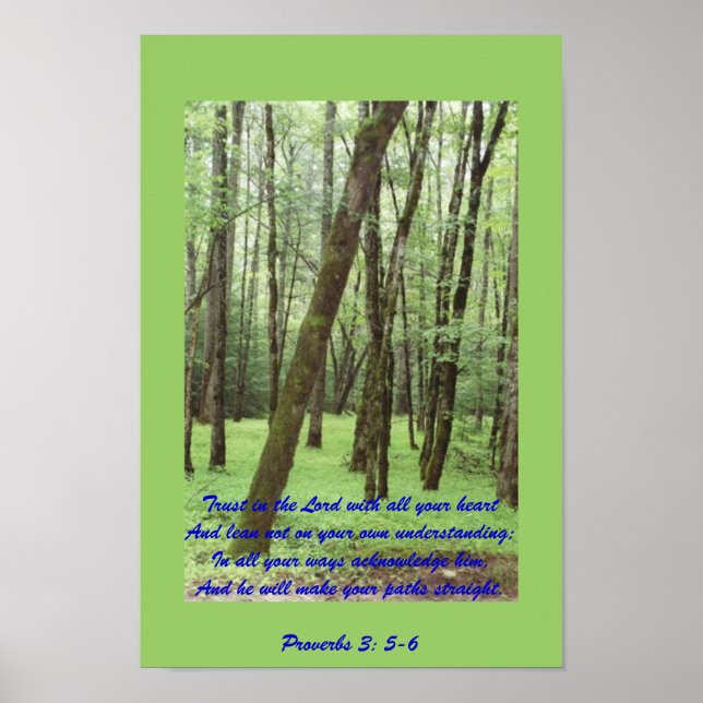 Provérbios 3: 5-6 poster com lindas árvores verdes (Frente)