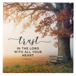 Provérbios 3:5 Confie no Senhor com todo o seu Cor