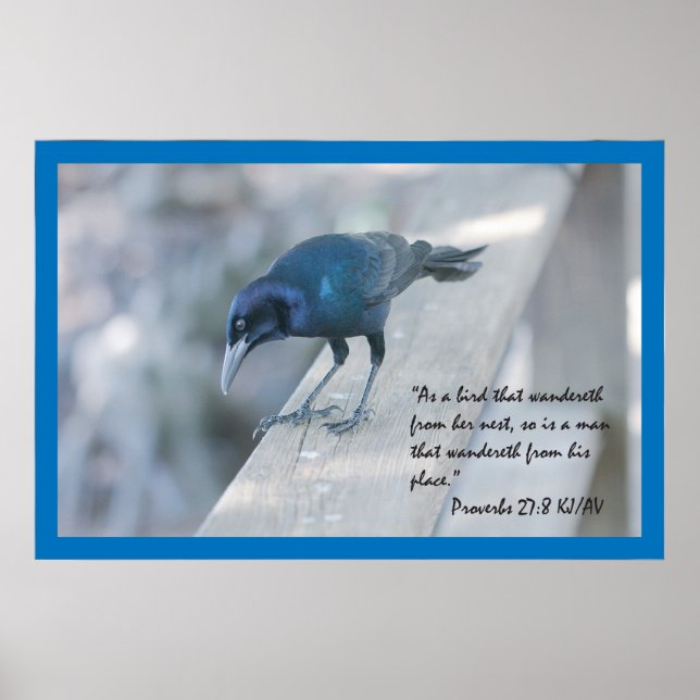 Proverbs 27:8 Scripture Poster (Frente)