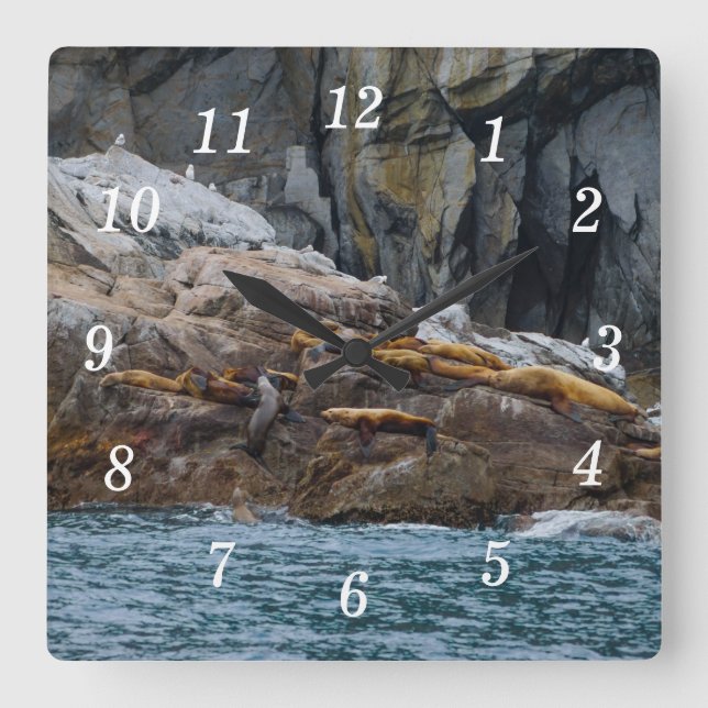 Próximo Relógio de Parede de Linha (Frente)