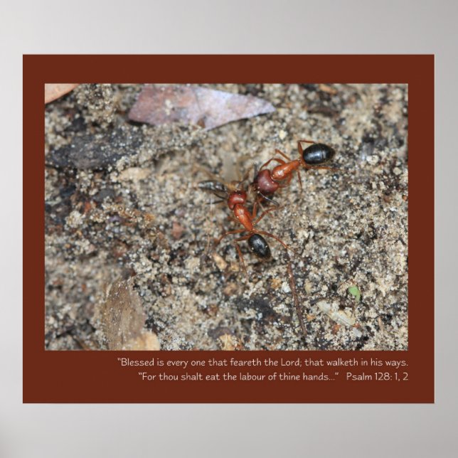 Psalm 128: 1, 2 Scripture Poster (Frente)