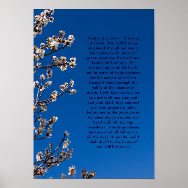 Psalms 23 poster (Frente)