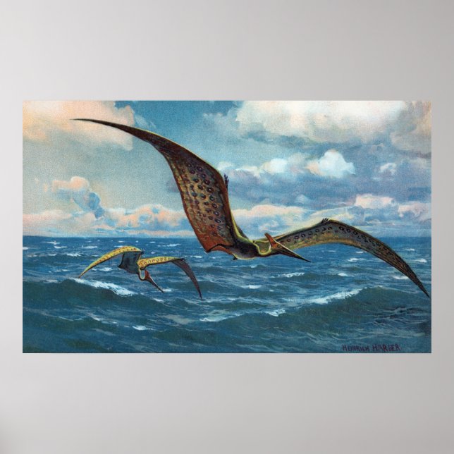 Pteranodon Impressão (Frente)