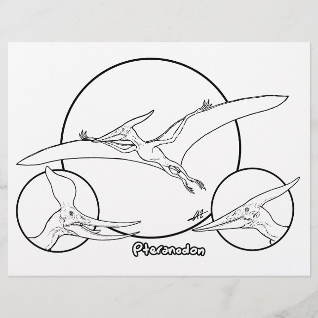 Pteranodon - Página de Coloração. (Frente)