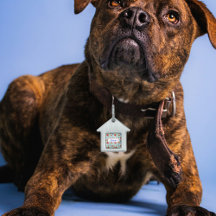 Puerto Rican Flag Flor de Maga