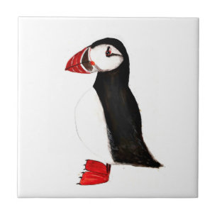 Puffin Bird Willife Colorida