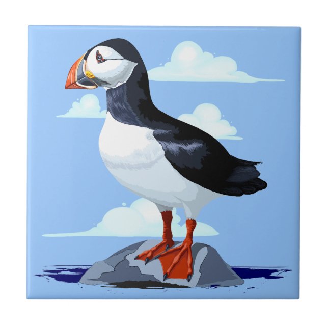 Puffin Cute Atlantic Seabird (Frente)