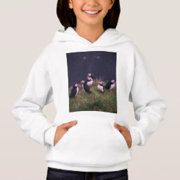 Puffins Atlântico