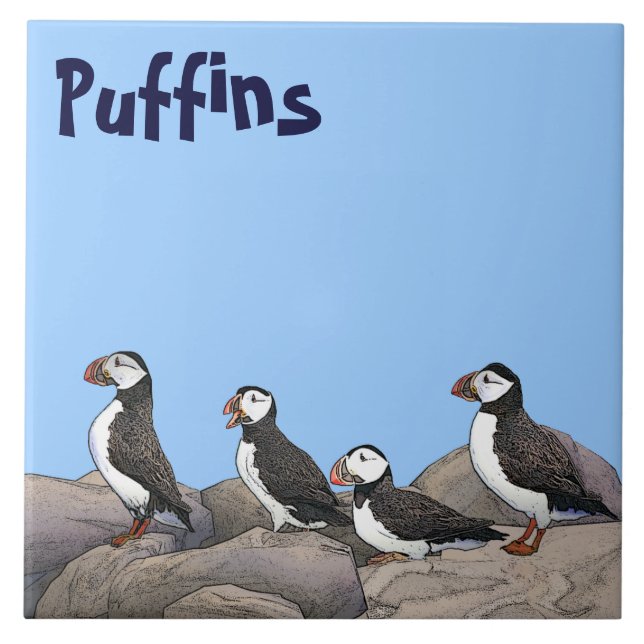 Puffins Atlântico (Frente)