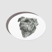Pug