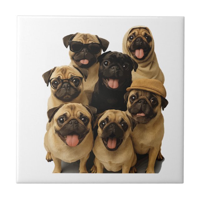 Pug (Frente)