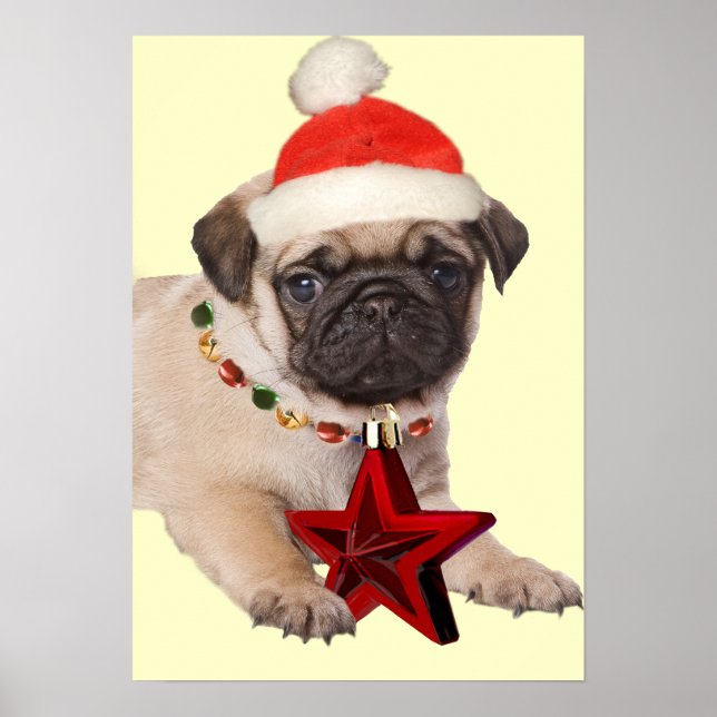 Pug A Christmas Star Impressão (Frente)