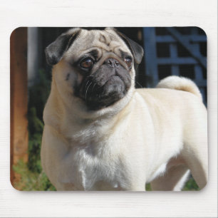 Pug bonito Mousepad da jovem corça