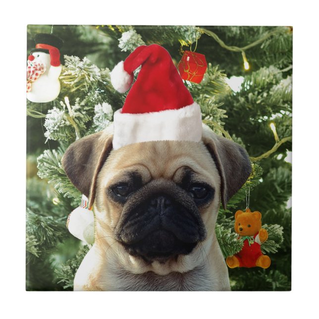 Pug Cachorro Cachorro Pomada em Árvore de Natal Sn (Frente)