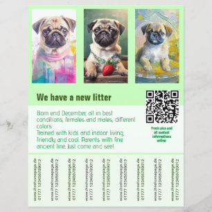 Pug cachorros para venda folheto modelo código QR