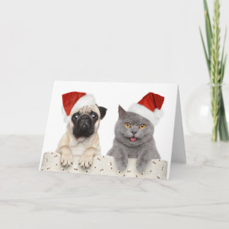 Pug & Cat - Cartão de Natal