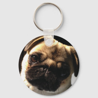 Pug chaveiro