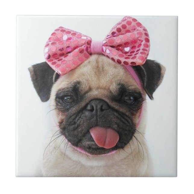 Pug com Arco rosa (Frente)