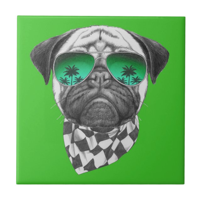 Pug de Miami (Frente)