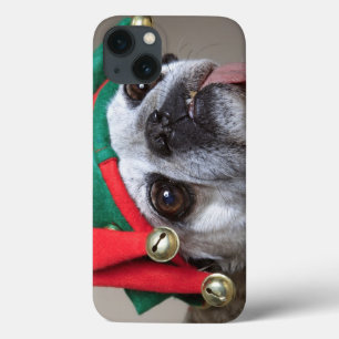 Pug de vista engraçado com a língua que pendura