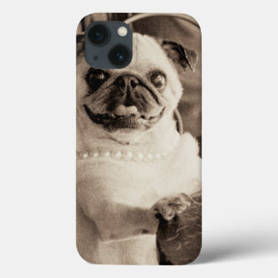 Pug do café