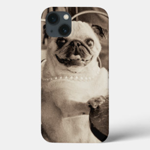 Pug do café