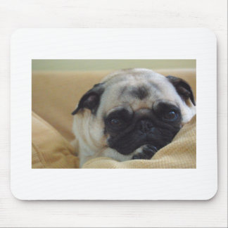 Pug doce Mousepad