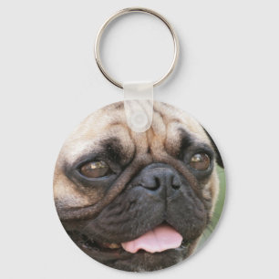 Pug Dog Chaveiro