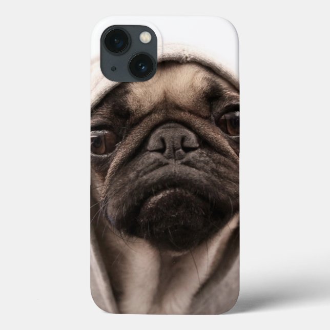Pug em um Hoodie (Verso)