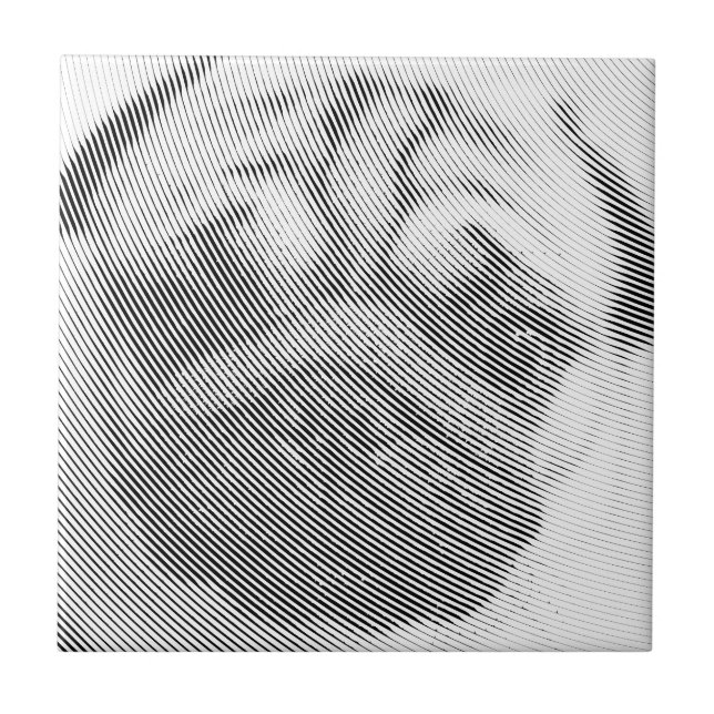 Pug Face (Frente)