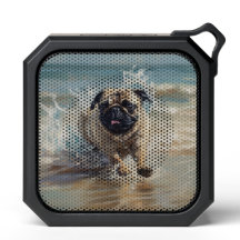 Pug feliz na praia