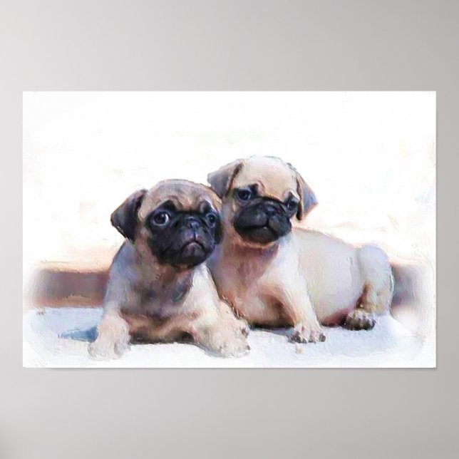 Pug filhotes poster (Frente)