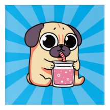 Pug Gato