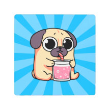 Pug Gato