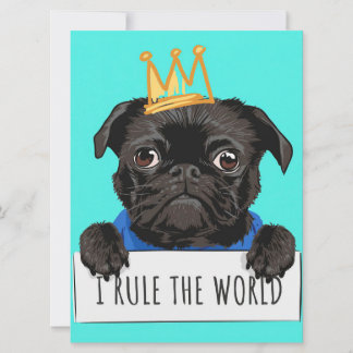 Pug I Governar O Presente Mundial, Engraçado Dom D