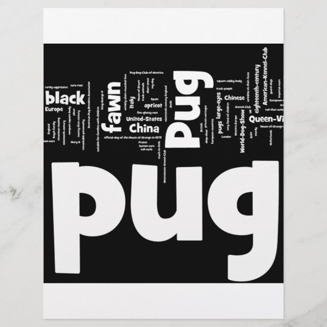pug mashup.png (Frente)