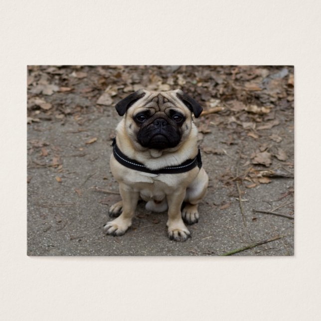 Pug Muito Grave (Frente)